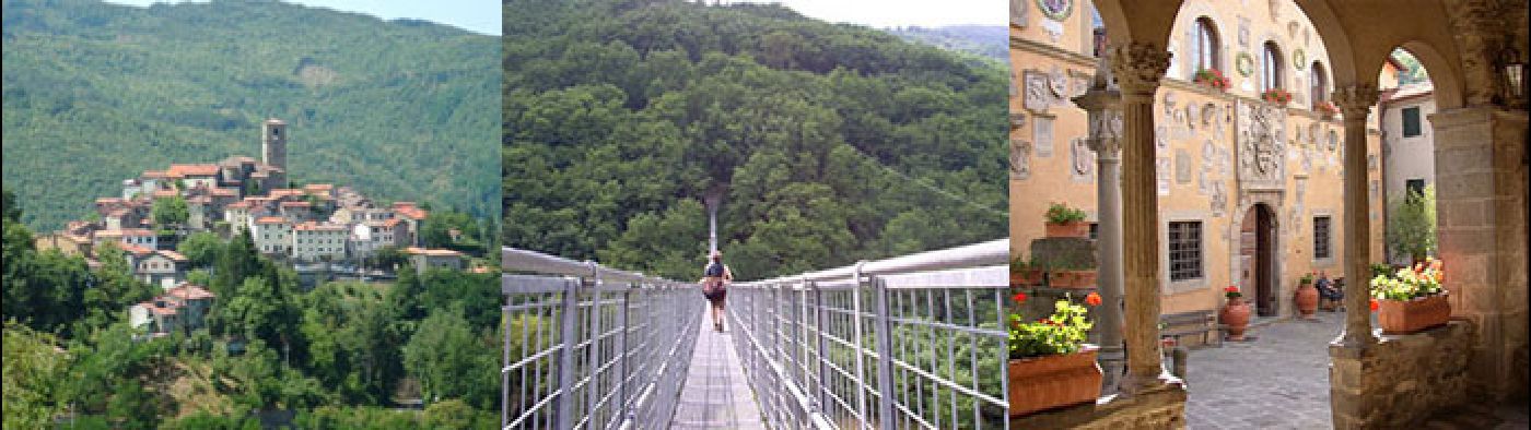 Foresta del Teso, piscina a Maresca